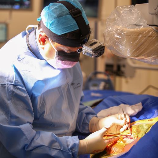 Asia Pacific B-Connected 2018